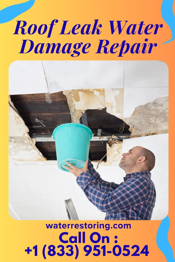 Roof Leak Water Damage Repair in Posen, IL